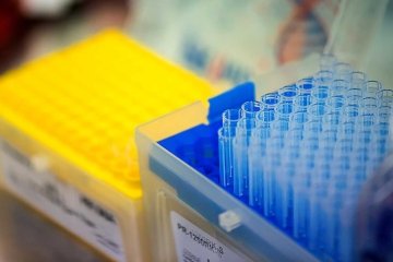 okbet online casino login